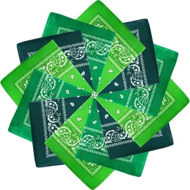 Blulu 12 Pack Unisex Paisley Bandanas Bulk Cowboy Bandanas Head Wrap Scarf Wristband for Men Women Bachelorette Party