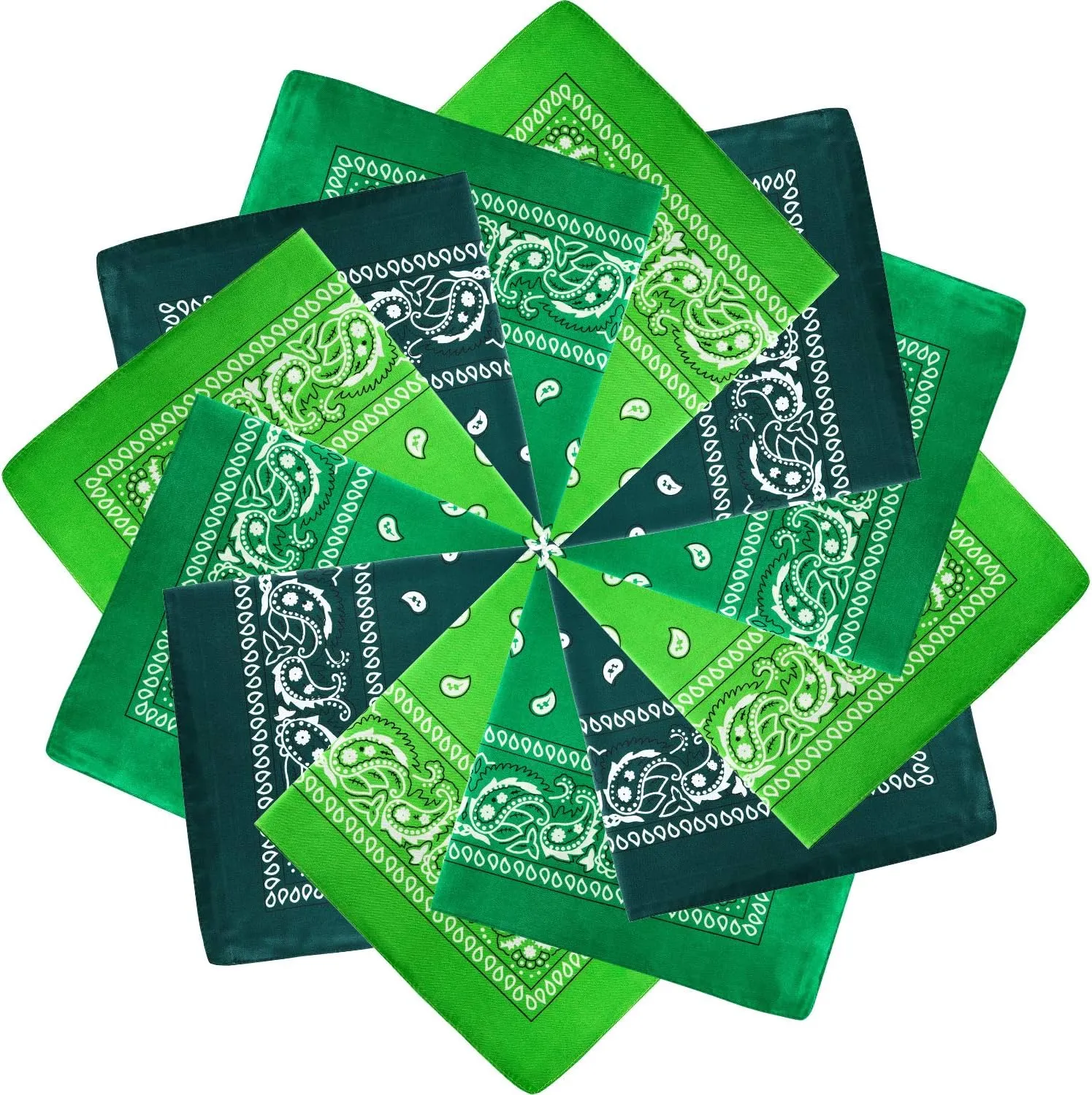 Blulu 12 Pack Unisex Paisley Bandanas Bulk Cowboy Bandanas Head Wrap Scarf Wristband for Men Women Bachelorette Party